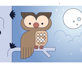 Owl Vector