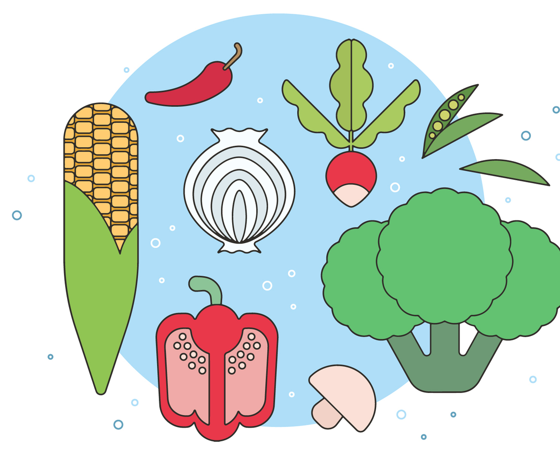 Fresh Organic Vegetables Vector