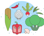 Fresh Organic Vegetables Vector