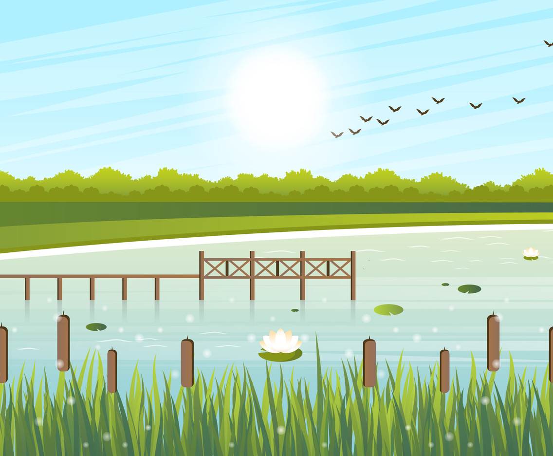 Vector Landscape illustration