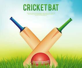Cricket Bat Illustration