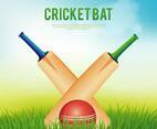 Cricket Bat Illustration