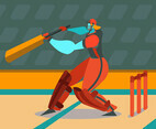 Cricket Player