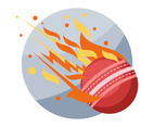 Cricket Ball Illustration