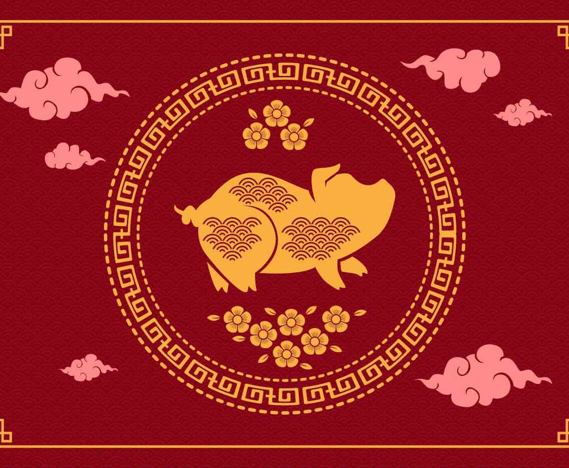 Chinese New Year Pig Vector Illustration