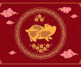 Chinese New Year Pig Vector Illustration