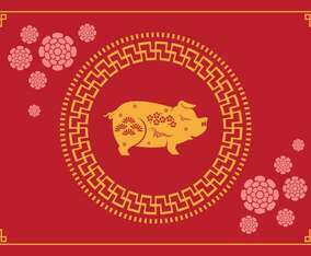 Chinese New Year Pig  Vector Illustration