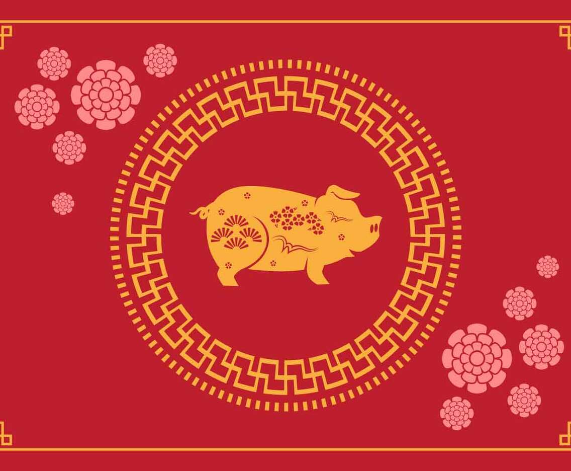 Chinese New Year Pig  Vector Illustration