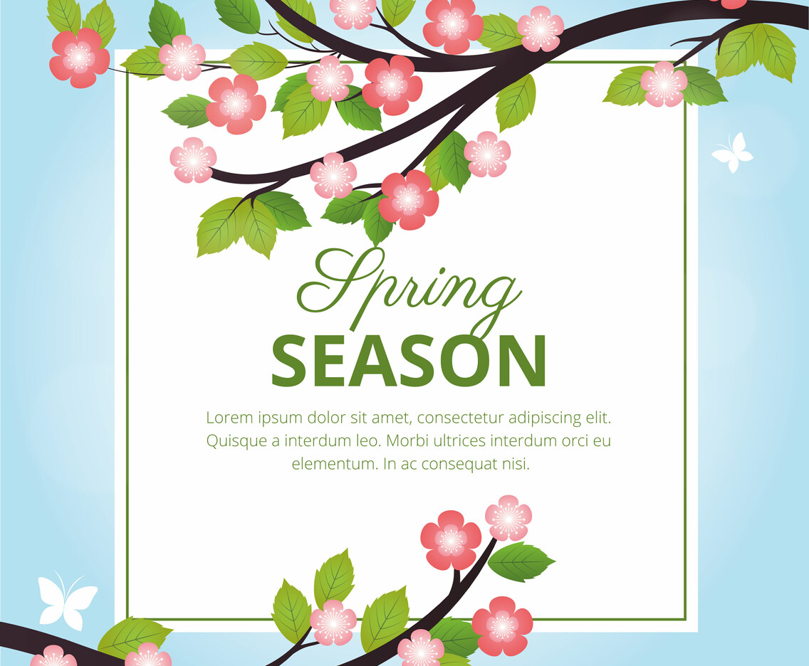 Vector Spring Greeting illustration