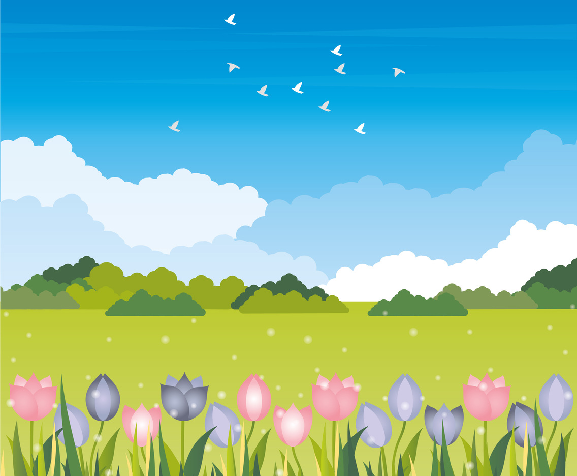 Vector Landscape illustration