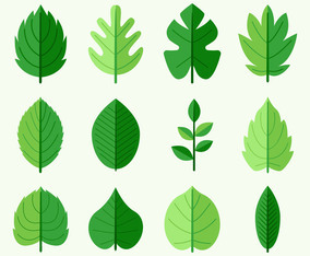 Green Leaves Vector