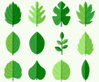 Green Leaves Vector