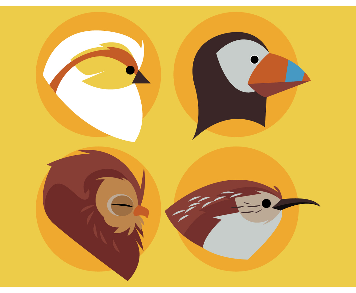 Birds Head Design Set Vector