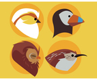 Birds Head Design Set Vector