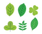 Green leaf clipart