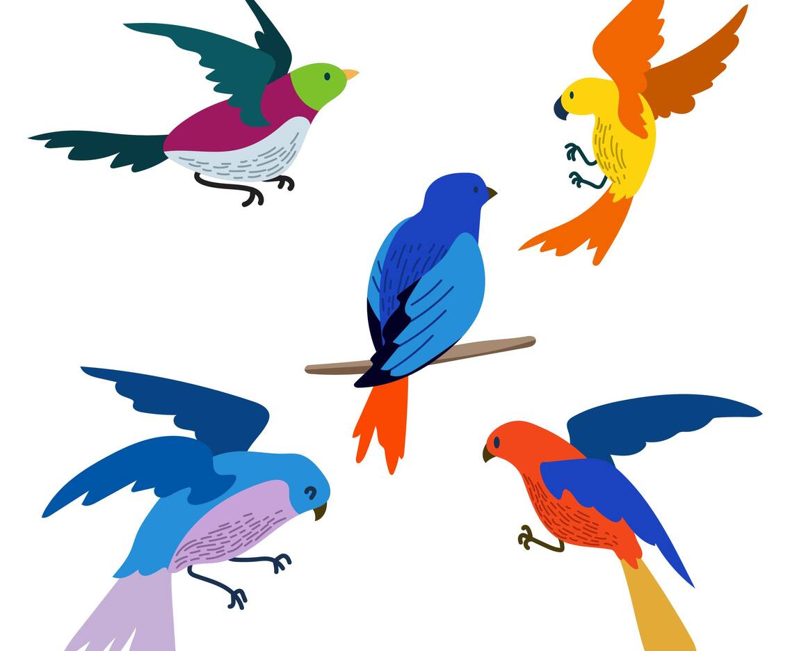 Flying Bird Clipart Set