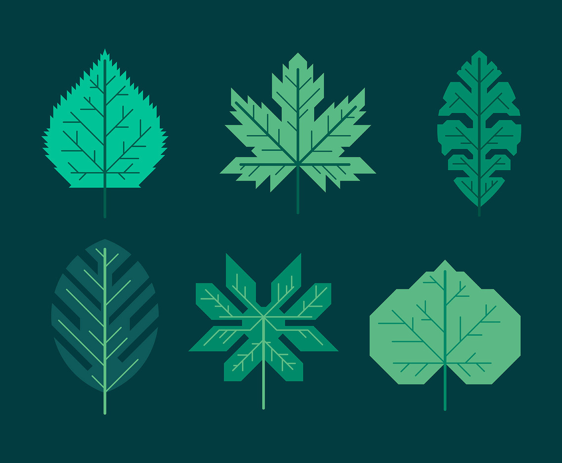 Green Leaves Clipart Set