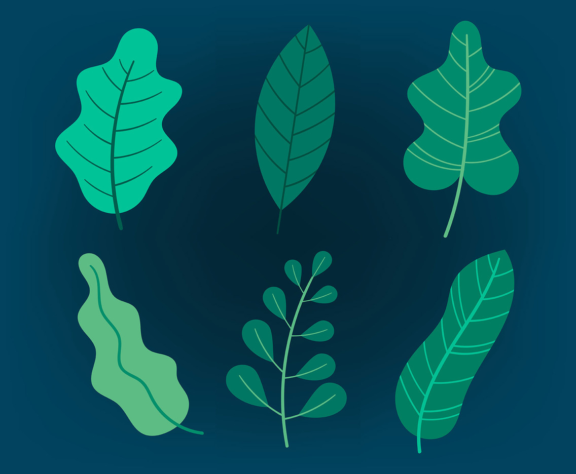 Green Leaves Clipart Set