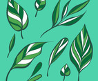 Hand Drawing Manual Green Leaves Clipart Set Vector