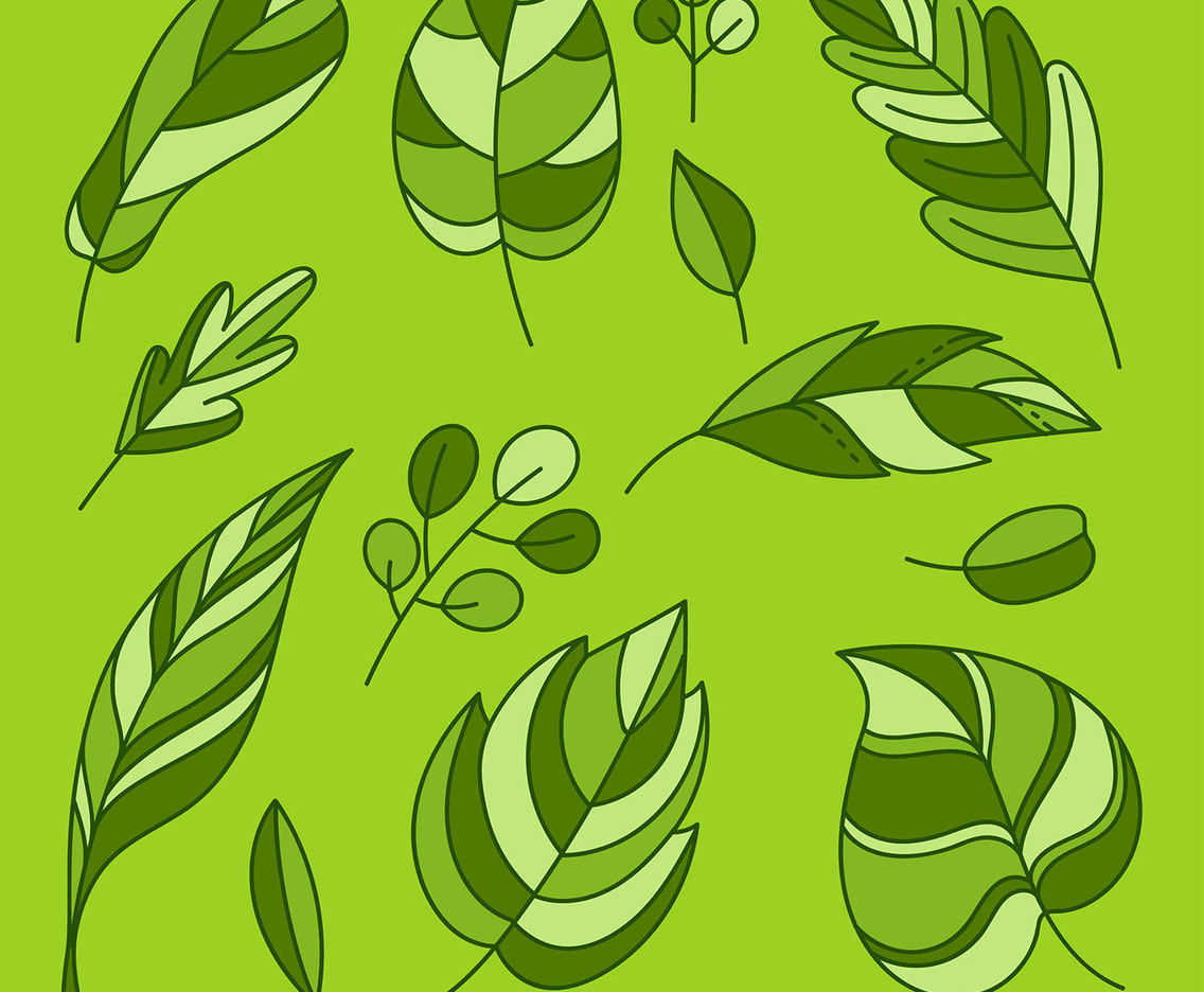 Hand Drawing Flat Green Leaves Clipart Set Vector