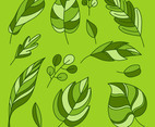 Hand Drawing Flat Green Leaves Clipart Set Vector