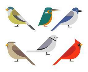 Bird Clipart Set Vector Illustration