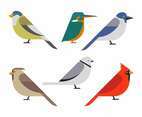 Bird Clipart Set Vector Illustration