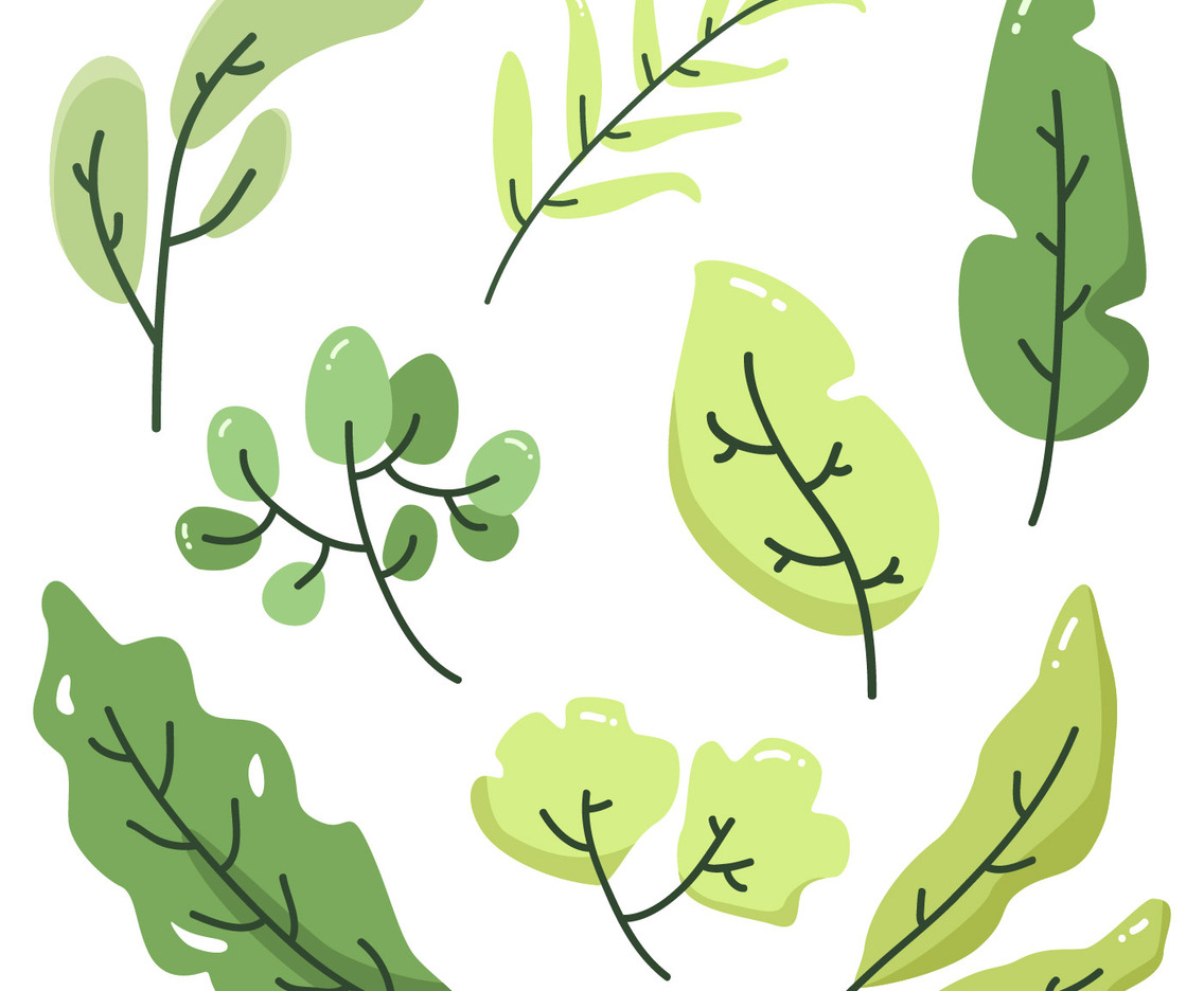 Green Leaves Vector Collection