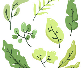 Green Leaves Vector Collection