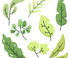 Green Leaves Vector Collection