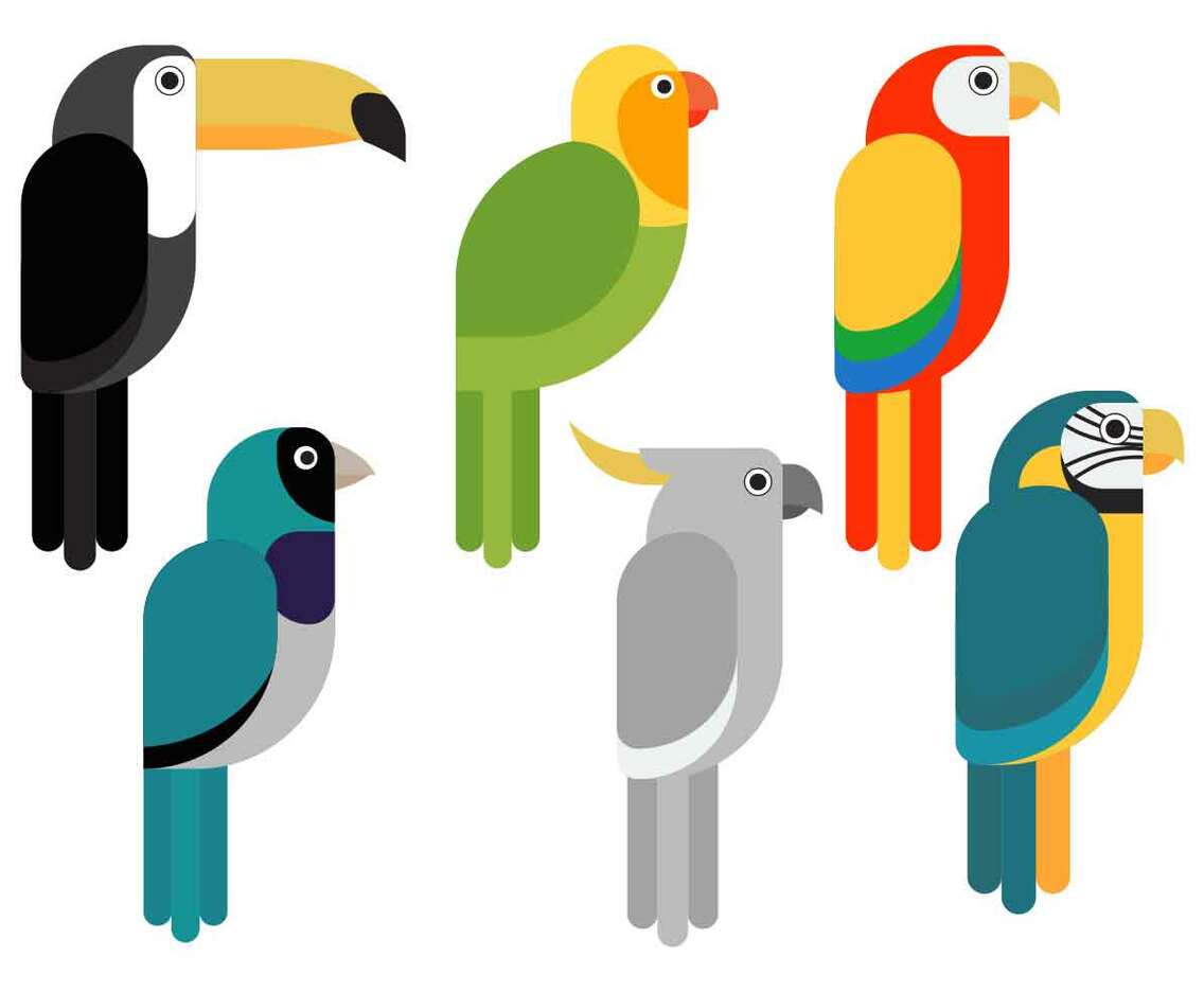 Bird Clipart Set Vector Illustration