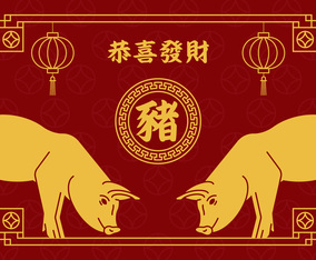 Chinese New Year Pig