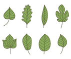 Green Leaf Types