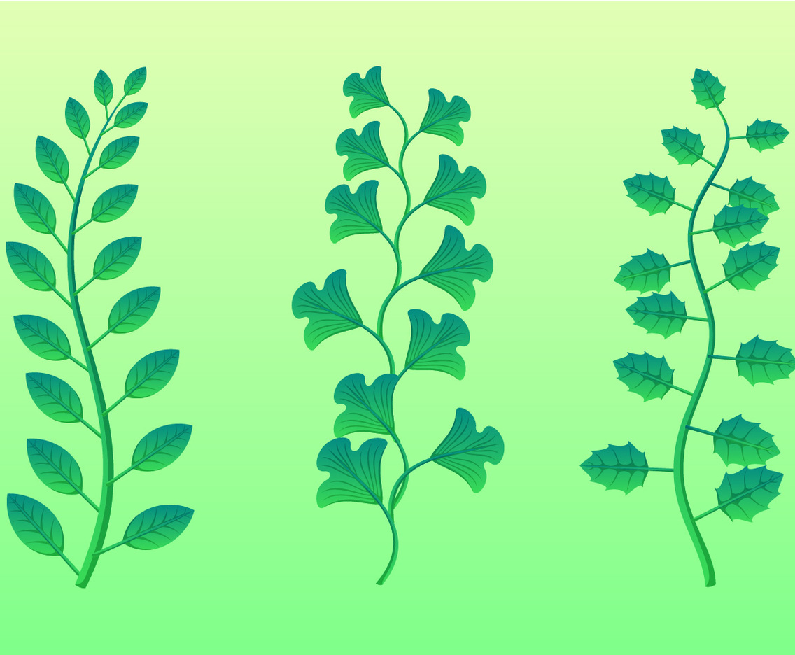 Green Leaves Clipart Set Vector