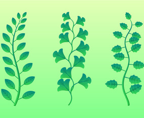Green Leaves Clipart Set Vector