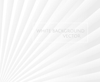 White Background Vector