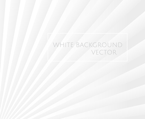 White Background Vector