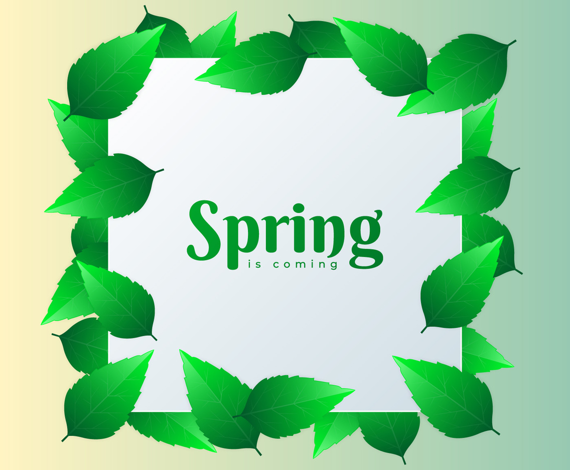 Spring Design Square Element With Green Leaves Background