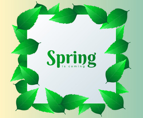 Spring Design Square Element With Green Leaves Background
