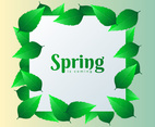 Spring Design Square Element With Green Leaves Background