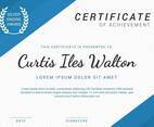 Beautiful Certificate Template Vector