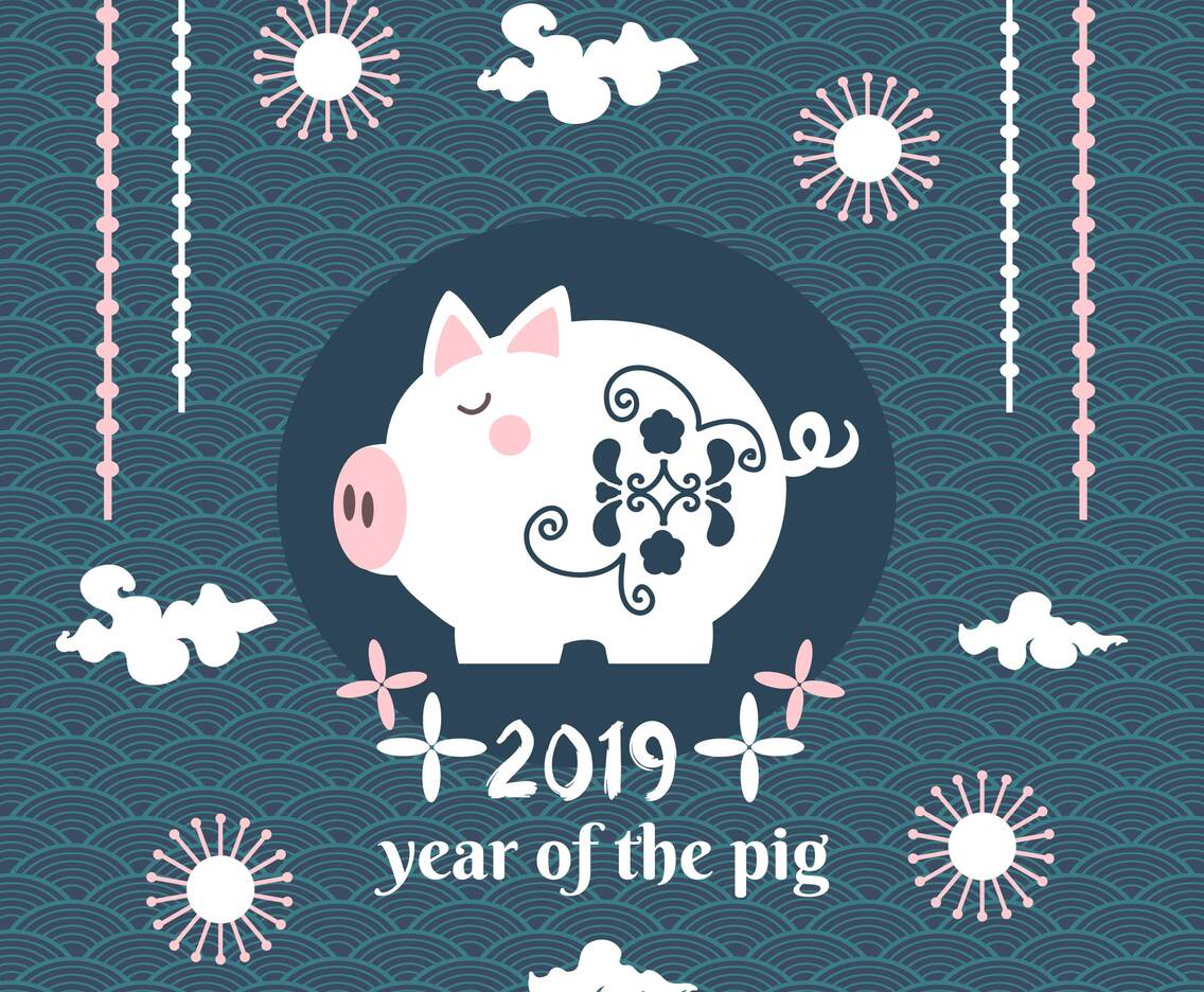Chinese New Year Pig Vector