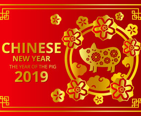 2019 Chinese New Year Vector