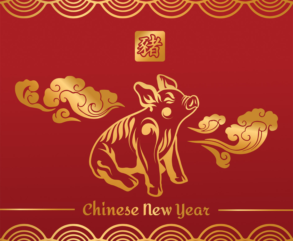 Chinese New Year Pig Vector Design