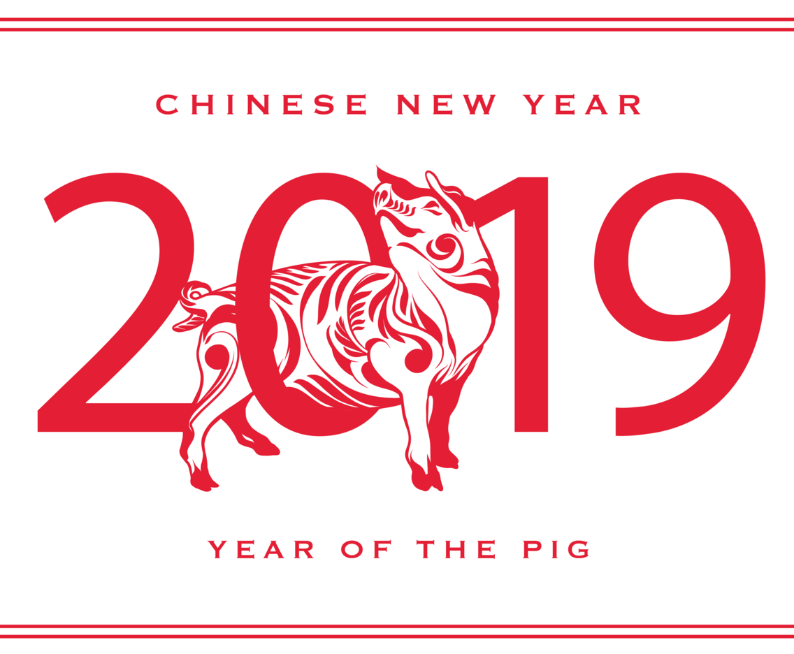 chinese new year pig