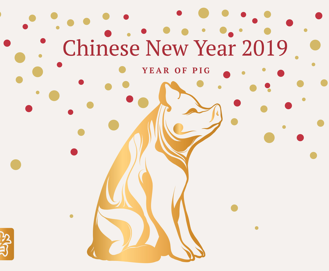 chinese new year pig