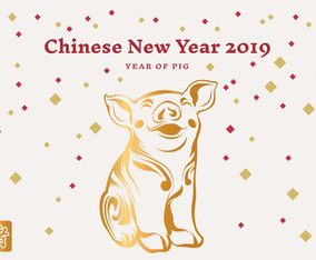 Chinese New Year Pig 2