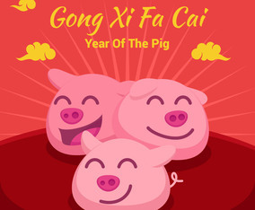 chinese new year pig