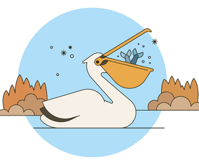 Fishing Pelican Vector