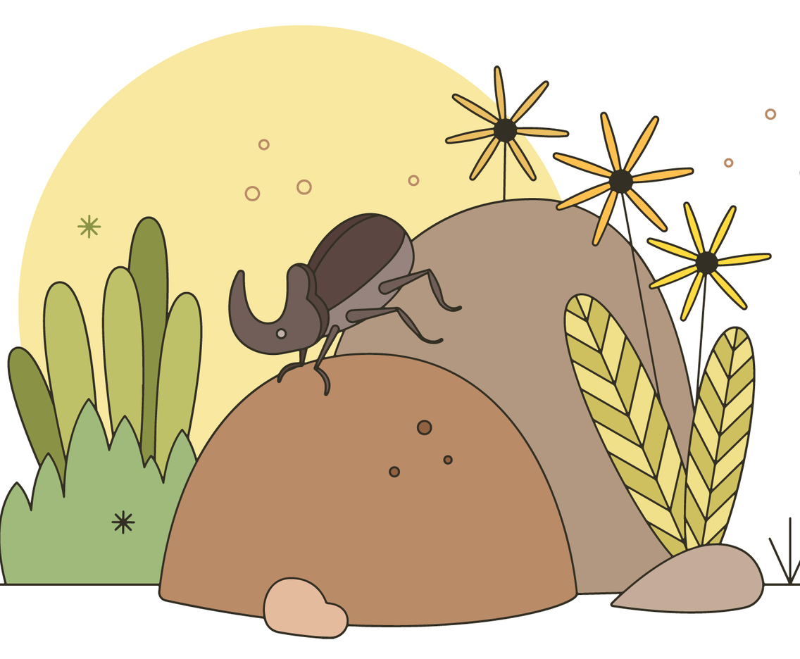 Dung Beetle Vector
